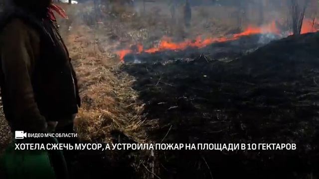 Хотела сжечь мусор, а устроила пожар на площади в 10 гектаров смотреть онлайн