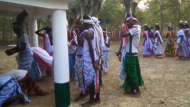 Baha Bonga 2016 смотреть онлайн