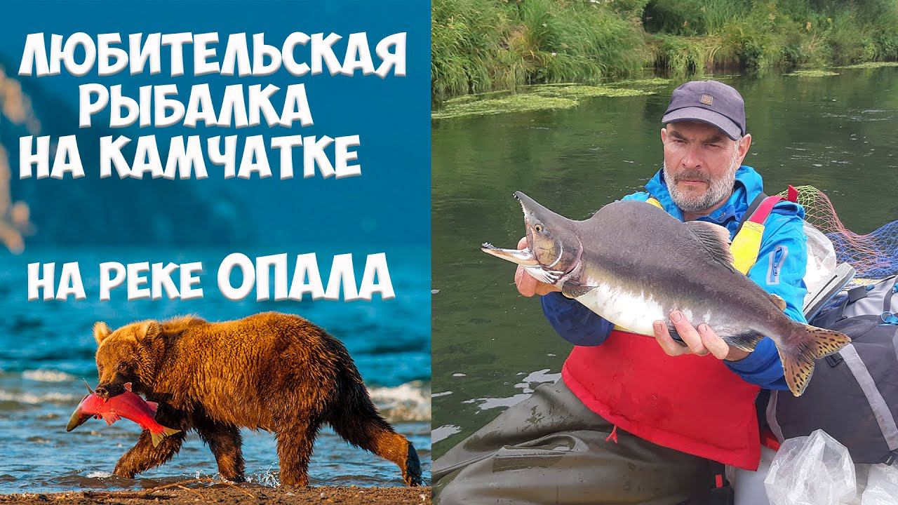 Рыбалка на реке Опала Камчатка смотреть онлайн