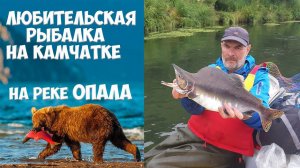 Рыбалка на реке Опала Камчатка