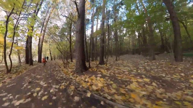 Моноколесо - осень 10.2022 смотреть онлайн