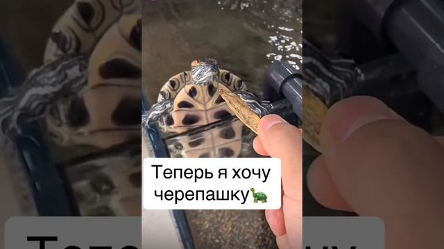 Едаааа смотреть онлайн