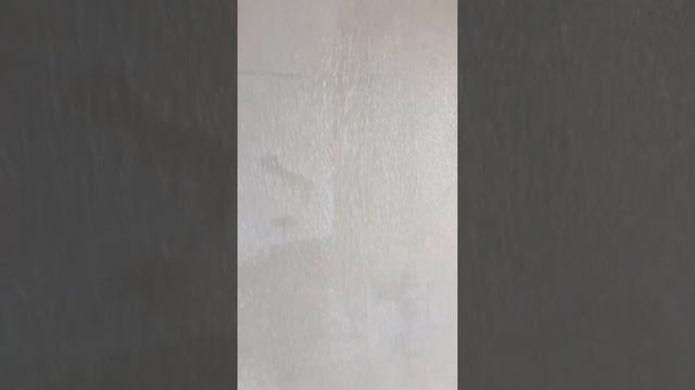 Поклейка обоев в Черновцах смотреть онлайн