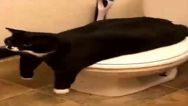 Baba Booey смотреть онлайн