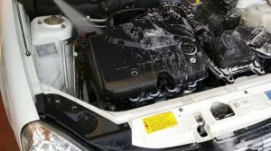 ЛАДА ПРИОРА ЗА 8 ЛЕТ ПЕРВАЯ МОЙКА ДВИГАТЕЛЯ