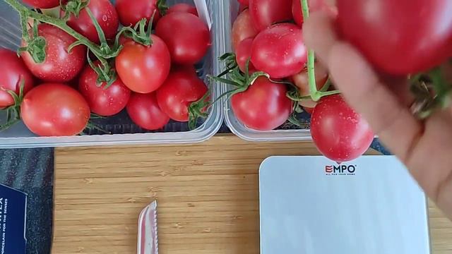 Tomaten Nach Sorten/**Tarasenko Rosa Tomate**(Тарасенко розовый)