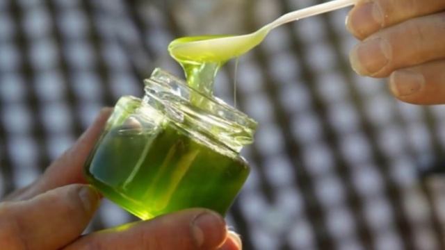 Во Франции пчелы начали делать синий и зеленый мед. Спустя недели пчеловоды узнали причину. смотреть онлайн