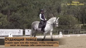 Как работать поводом. Верховая езда