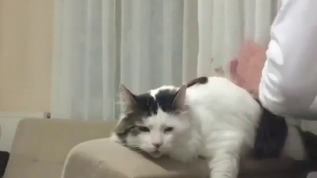 на приёме у массажиста смотреть онлайн