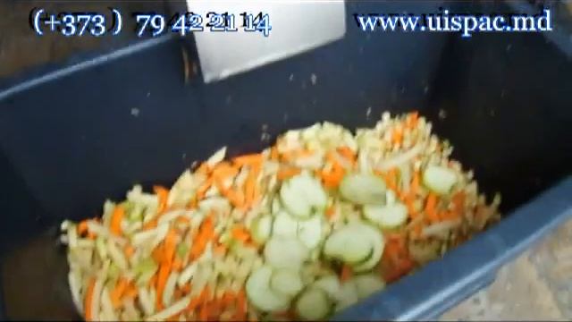 Vegetable, fruit cutter machine/Mашина для резки овощей/ Masina de taiat fructe si legume. смотреть онлайн
