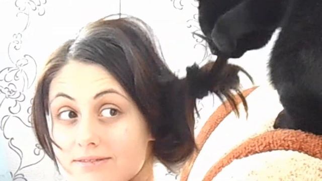 Котяра снимает резинку с волос. смотреть онлайн