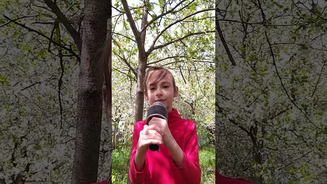 "Скворцы" муз Г Разбаева, сл. неизвестного автора смотреть онлайн