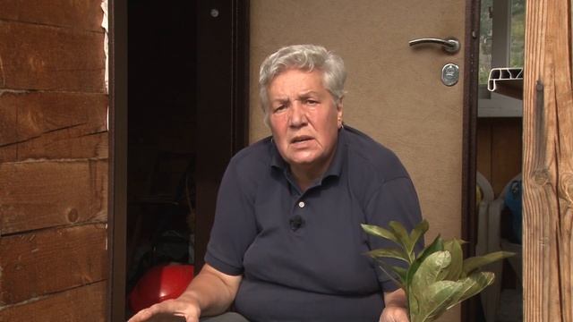 Голова садовая - Когда пересаживать пионы смотреть онлайн