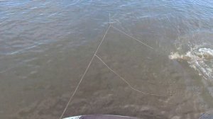 Всего  по  немногу..и  хорошего  по  маленьку...+