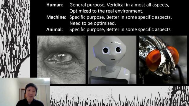 Lecture "Visual illusions of impossible objects" цикла лекций "От нейрона к познанию" [eng] смотреть онлайн