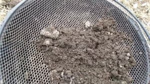 Для чего можно использовать полевую землю из кротовых кучек.