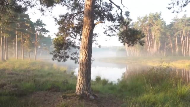 28 апреля народный праздник Пудов День. Что нельзя делать. Народные традиции и приметы и суеверия смотреть онлайн