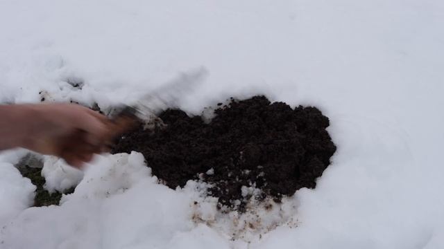 Trapping Moles in the Snow with the DEAD-SET Victor Mole Trap. Mousetrap Monday смотреть онлайн