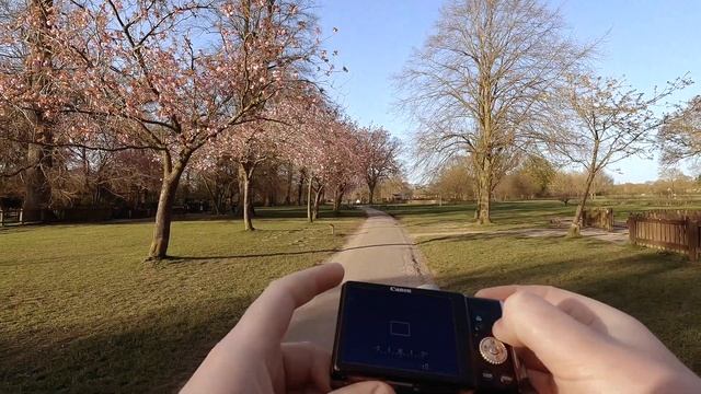 Going Back To A CCD Canon Camera | Canon Powershot SX200 IS