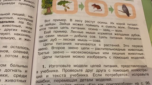 Окружающий мир/3 кл/Плешаков/часть 1/Кто что ест/15.11.21 смотреть онлайн