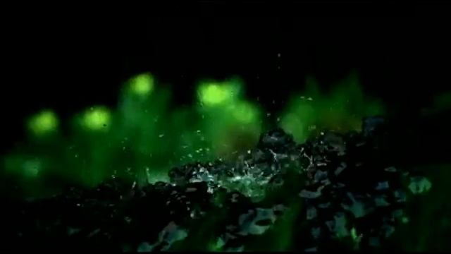 Влияние человечества на эко системы планеты смотреть онлайн