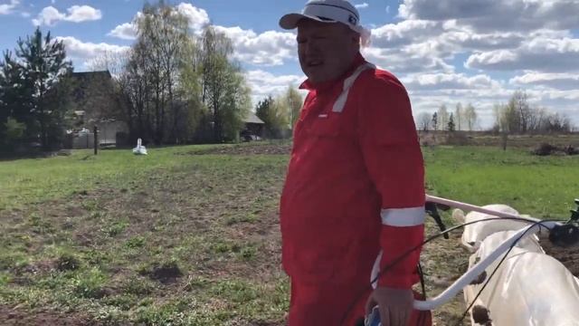Садим КАРТОФЕЛЬ под мотоблок Нева МБ 2 смотреть онлайн