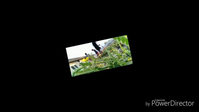 Kiritimati edit смотреть онлайн