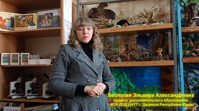 Педагог дополнительного образования: где учиться мастерству? Беспалая Эльвира Александровна смотреть онлайн