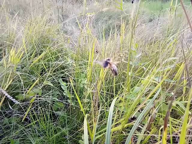 1 августа 2016 г. смотреть онлайн