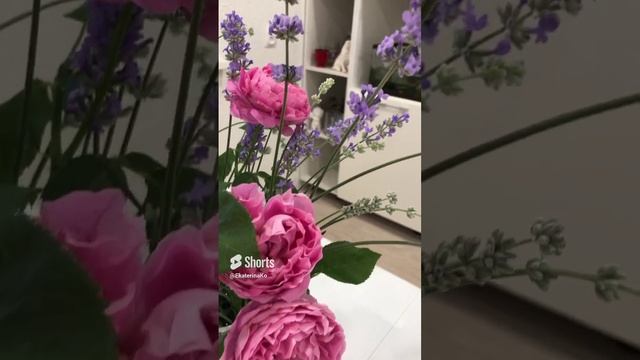 Доброго дня! Лаванда и Мэри Роуз смотреть онлайн