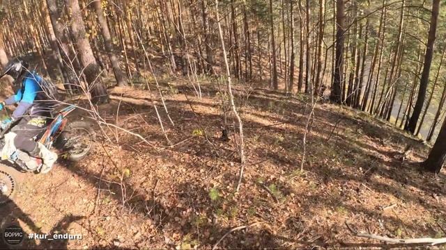 Ловкий Лис 2023 (Закрытие сезона) смотреть онлайн