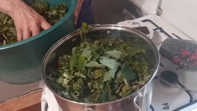 Как готовить отвар чистотела. смотреть онлайн