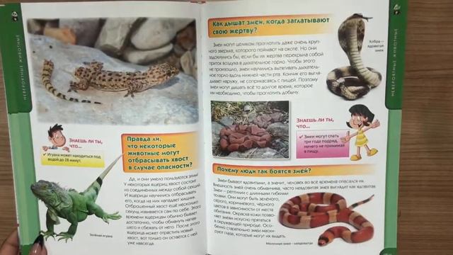 Большая детская энциклопедия. 1234 вопроса - 1234 ответа