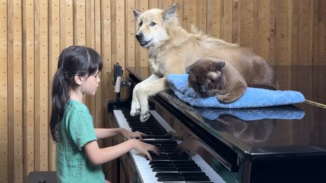 Emilie Plays Piano for Sharky the Dog and Satang the Cat смотреть онлайн