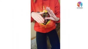 36 простукиваний для умелых рук