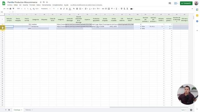 ⭐ Importar, Subir y Editar Productos Masivos en Woocommerce desde Excel смотреть онлайн