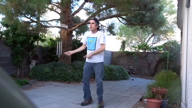 King Terry Dances To Everything: Numa Numa (2023) #music #dance #dancevideo #temple