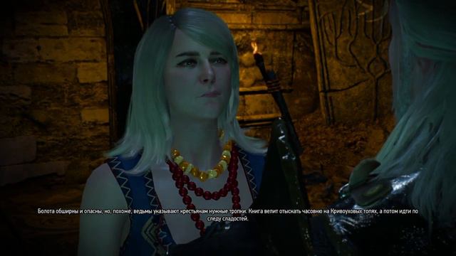 The Witcher 3 Новая игра + 5 смотреть онлайн
