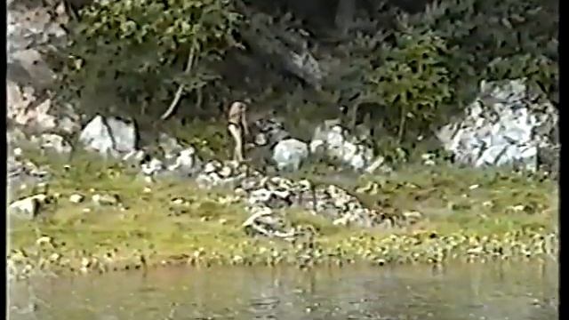 Мне кажется всегда чудесной встреча (2004 г.) смотреть онлайн