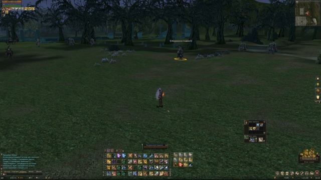 Lineage 2. Airin. Решаем проблему "убегающего" со спота персонажа/оптимизация макроса смотреть онлайн