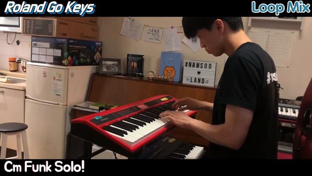 Roland GO:KEYS LOOP MIX Cm Funk Solo / 남수랜드 NAMSOO LAND смотреть онлайн