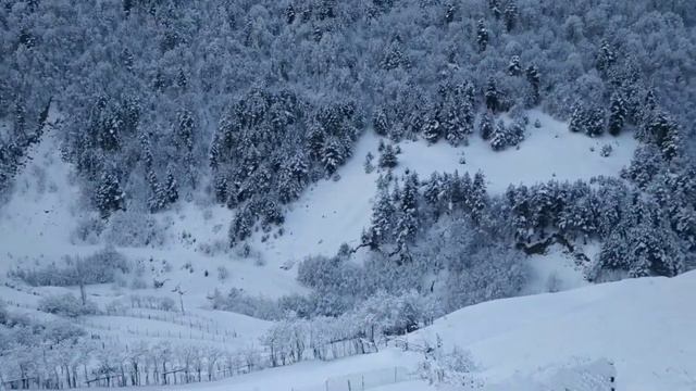Утренняя заря с Хибятли смотреть онлайн