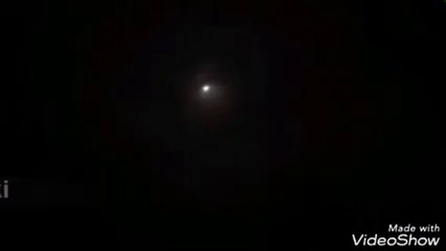 Гонотрейлер: 