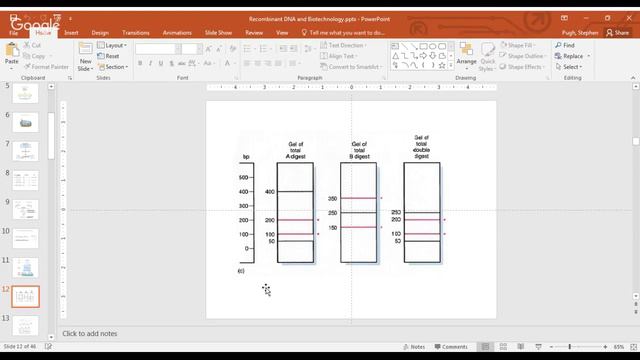 Recombinant DNA and Biotechnology -- Part 1 смотреть онлайн