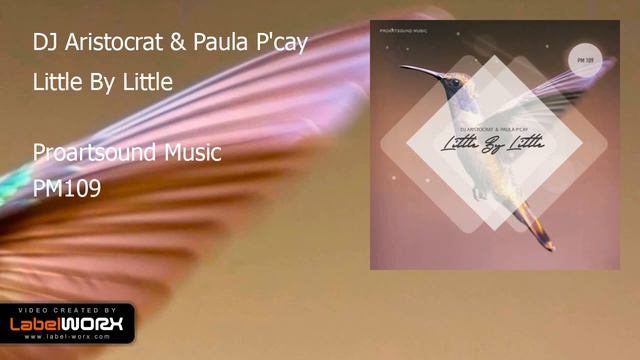 DJ Aristocrat & Paula P'cay - Little By Little (Original Mix) смотреть онлайн