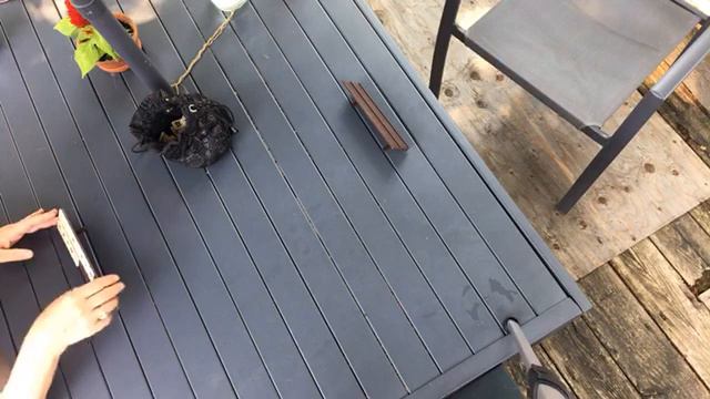 Lost 2 in a row, Fun game - Rummikub Live w Jackery240 Power supply смотреть онлайн