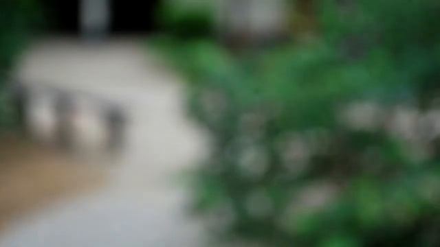 Daily Routine смотреть онлайн