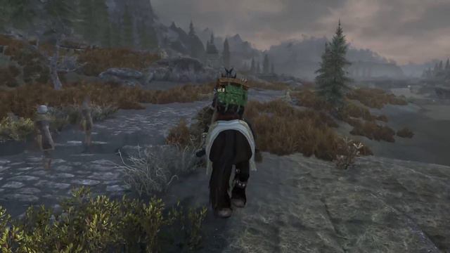 SKYRIM - Special Edition [Modded] Ch. 8#  Legacy Of The Dragonborn - 42