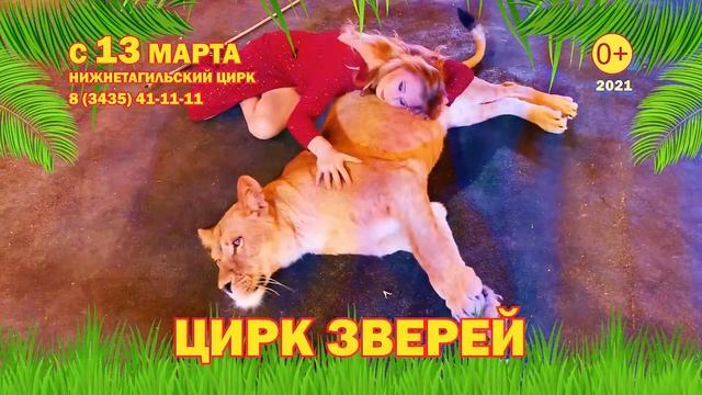 Нижний Тагил Цирк смотреть онлайн