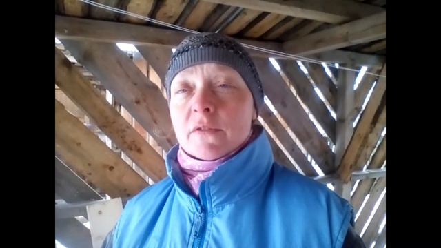 Про любимое дело///Про деревенских кошек смотреть онлайн